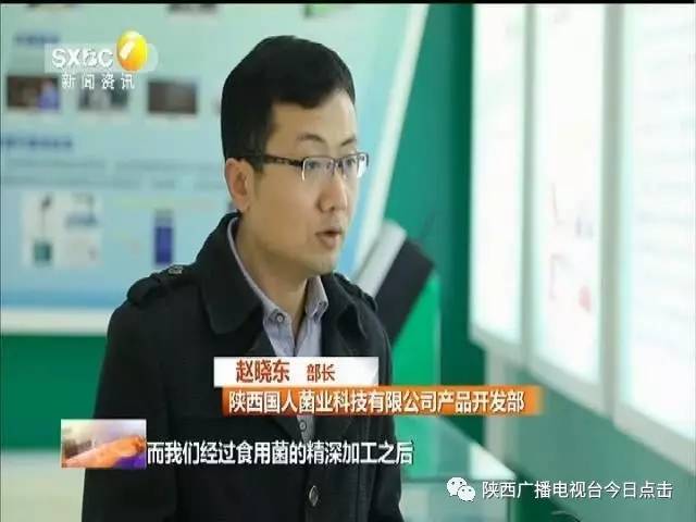你让香菇身价暴增5倍 ,我拿枕头种西瓜 ,陕西这些人为啥这么牛?